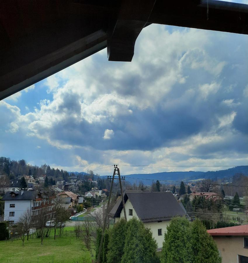 Lawenda * Wisla